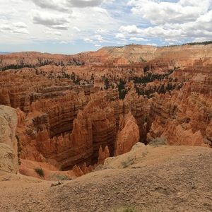 Meet your Posher, Hope